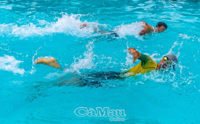 Những người yêu bơi lội hòa mình vào làn nước xanh mát và chinh phục giới hạn bản thân.