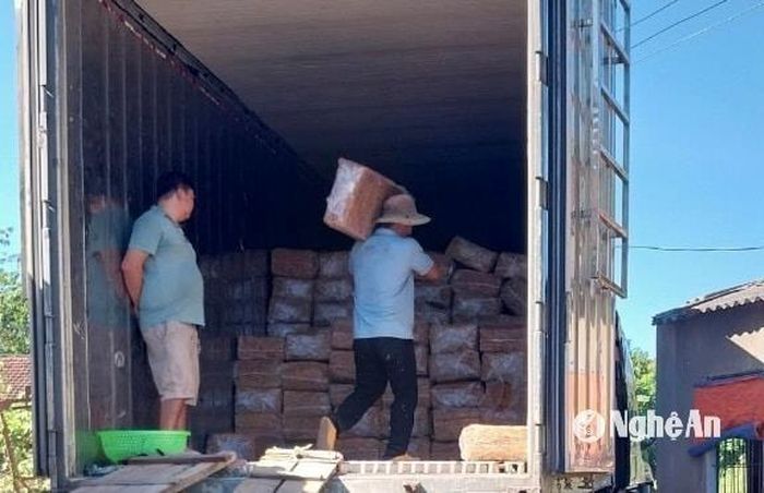 Tư thương đến tận các nhà máy chế biến cao su ở Nghĩa Đàn để thu mua. Ảnh: Văn Trường