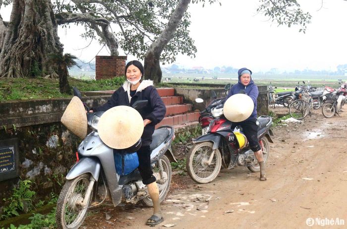 Dịp này, các xã Đồng Văn, Minh Tiến... đón hàng trăm thợ cấy đến từ khắp nơi trong và ngoài huyện. Họ chủ yếu là phụ nữ trung niên tranh thủ lúc nông nhàn đi cấy thuê kiếm thêm thu nhập. Ảnh: Huy Thư