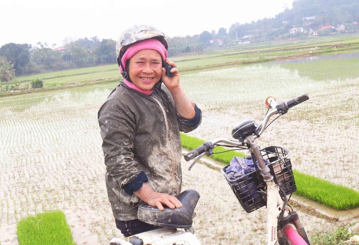 Một phụ nữ quê ở xã Xuân Dương (Thanh Chương) đi cấy thuê ở xã Minh Tiến chia sẻ: Đi cấy thuê cũng như cấy cho mình, chủ nhà họ muốn cấy như nào thì mình cấy như vậy. Để đảm bảo ngày công cho chủ nhà, chỉ khi cấy xong lên bờ mới nghe điện thoại. Ảnh: Huy Thư