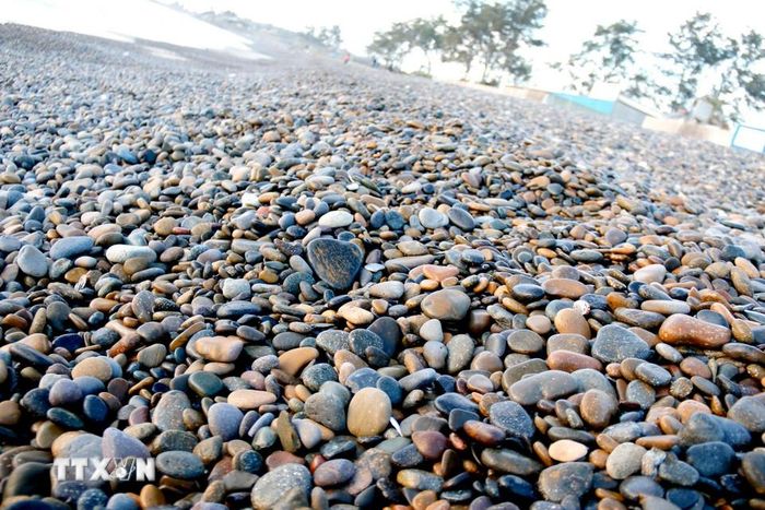 Bãi đá 7 màu dài khoảng 1km, thu hút đông du khách. (Ảnh: Nguyễn Thanh/TTXVN)