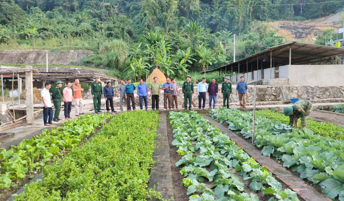 Đồn Biên phòng Pù Nhi (huyện Mường Lát) tổ chức hướng dẫn, giới thiệu cho nhân dân địa phương tham quan vườn rau xanh tại đơn vị (tháng 10-2024). 