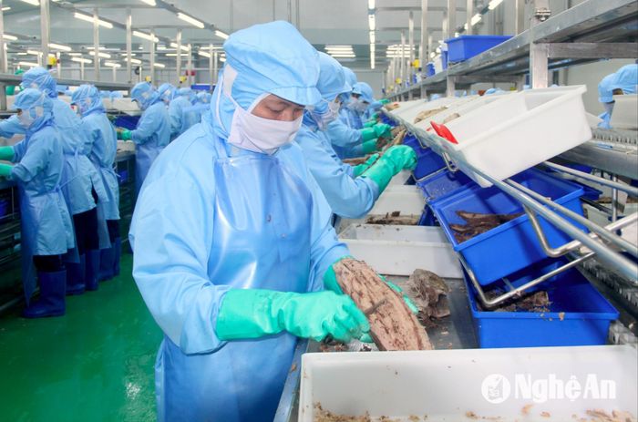 Lao động làm việc tại KCN Nam Cấm Nghệ An. Ảnh: Quang An