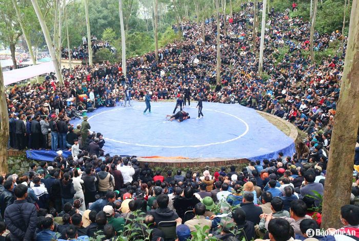 Nằm trong chương trình Lễ hội Đền Vua Mai năm 2025, sới vật truyền thống thu hút đông đảo người dân và du khách đến tham gia, cổ vũ. Ảnh tư liệu: Huy Thư