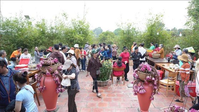 Các gian hàng tại Phiên chợ lá ấp Long Hải, xã Trường Tây, thị xã Hòa Thành, tỉnh Tây Ninh.