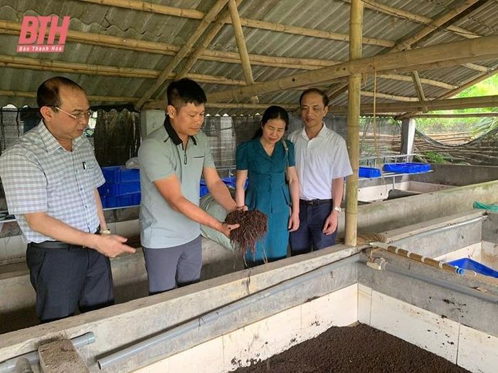 Mô hình phát triển kinh tế của hội viên nông dân xã Thọ Sơn (Triệu Sơn).