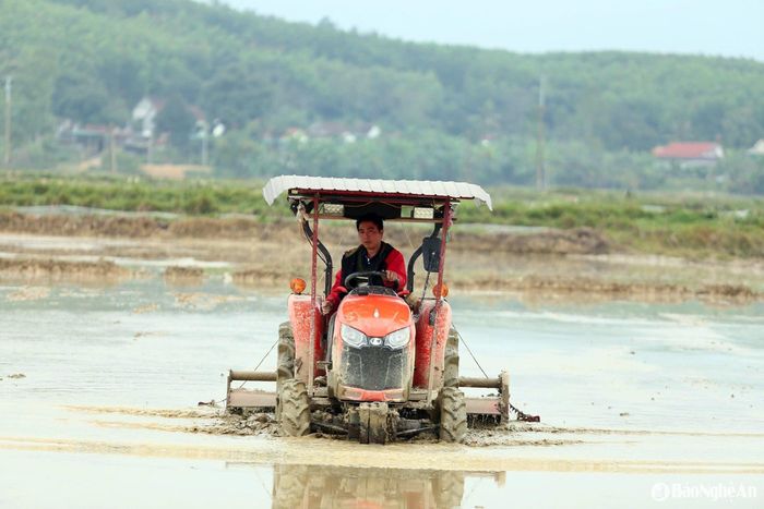 Cơ giới hóa, máy móc được đưa vào nhằm đẩy nhanh tiến độ sản xuất Ảnh: Phú Hương