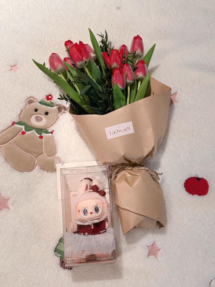 Lệ Quyên được Lâm Bảo Châu tặng hoa tulip đỏ cùng đồ chơi Labubu màu hồng dễ thương sau khi đi diễn về. Nhân Lễ Tình nhân, ca sĩ Nếu em được lựa chọn nhắn nhủ người hâm mộ rằng ai đang có nhau thì hãy nắm chặt tay nhau, còn ai đang tìm kiếm thì sẽ gặp người xứng đáng. Ảnh: Fb Lệ Quyên.