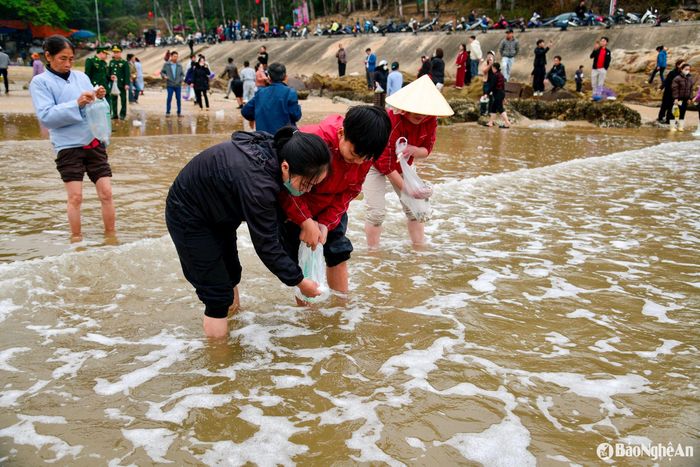 Người dân phóng sinh cá, tôm, ngao ra biển để cầu cho vạn vật sinh sôi, hải sản dồi dào. Ảnh: Hồ Nhật Thanh