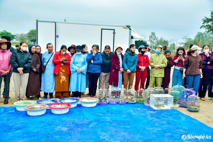 Đại diện Phòng Kinh tế - UBND thị xã Hoàng Mai cho biết, 1 vạn rưỡi cá giống hồng Mỹ, 10 vạn tôm giống, trên 200 kg ngao giống, cùng hàng trăm con chim hoang dã được phóng sinh trong hôm nay. Ảnh: Hồ Nhật Thanh