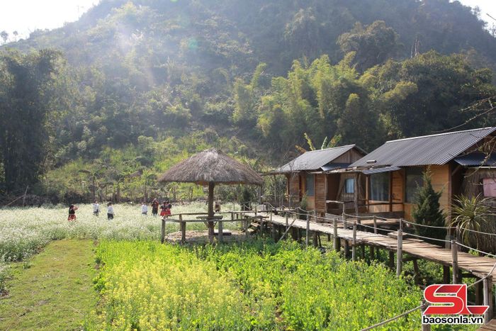 Không gian homestay của anh Vàng A Di, bản Tà Phềnh, xã Tân Yên.