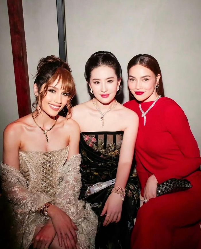 Ngoài vai trò diễn viên, Lưu Diệc Phi còn gây ấn tượng khi có danh tiếng nhất định với các nhà mốt nổi tiếng. Ảnh: Sưu tầm