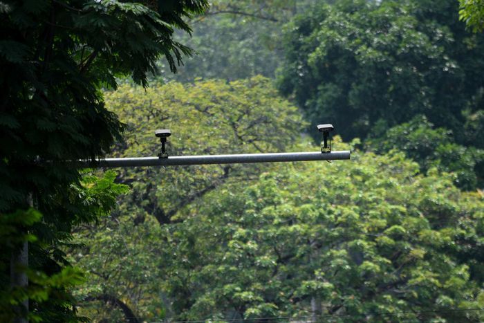  Camera phạt nguội trên đường Hoàng Sa (quận 1). 