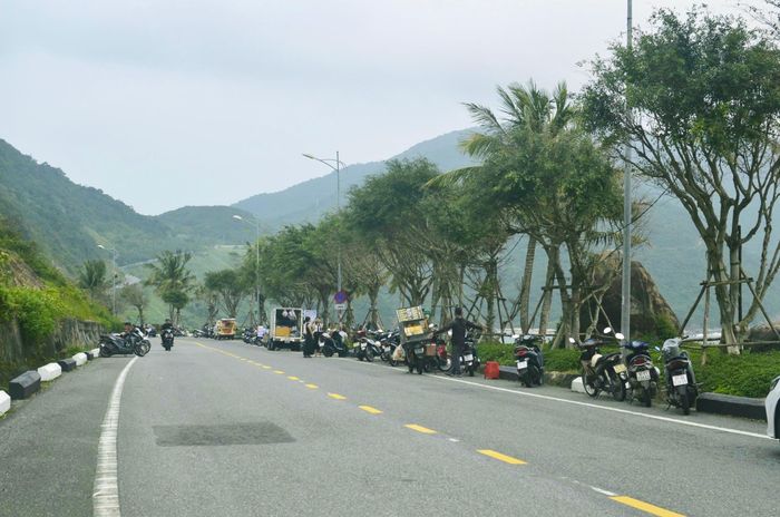  "Dốc Đại Lý" giữa bán đảo Sơn Trà. Ảnh: Minh Hiền 