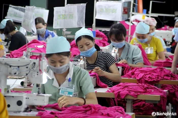 Ngành may mặc là một trong những ngành cần lao động nhiều trong đầu năm 2025. Ảnh: Quang An