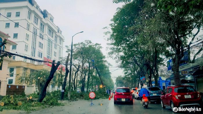 Đường Đinh Công Tráng là 1 trong 2 tuyến giao thông một chiều đầu tiên tại thành phố Vinh. Ảnh: Thành Duy