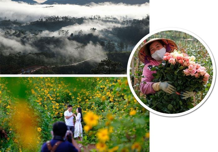 Đà Lạt là thành phố du lịch nghỉ dưỡng nổi tiếng với những nét yên bình, lãng mạn hiếm có tại Việt Nam.