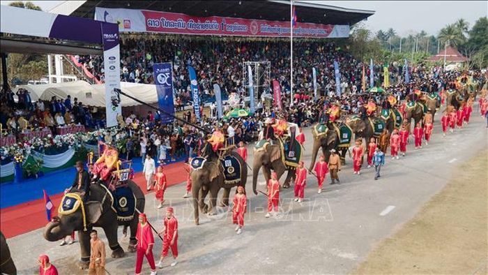 Những chú voi được khoác lên mình những tấm vải thổ cẩm rực rỡ. Ảnh: Đỗ Bá Thành/PV TTXVN tại Lào