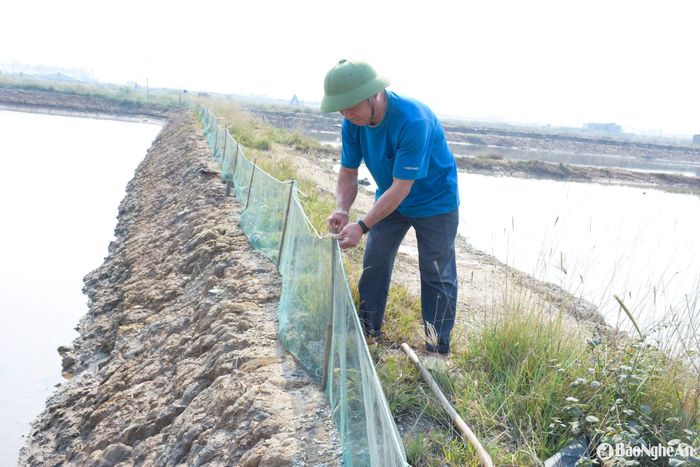 Xung quanh ao phải chăng lưới mắt nhỏ để cua không bò ra ngoài, gây thất thoát. Ảnh: T.P