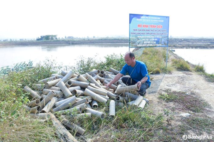 Bắt đầu từ tháng 8/2024, được sự hỗ trợ từ nguồn khuyến nông, anh mạnh dạn đăng ký tham gia mô hình "Nuôi cua biển bằng thức ăn công nghiệp trong vùng nuôi tôm kém hiệu quả". Ảnh: T.P