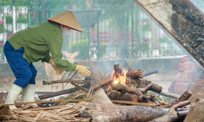  Những ngày qua khi thời tiết mưa rét đậm dưới 17 độ, các công nhân ở vườn thú Thủ Lệ, Hà Nội đang triển khai nhiều biện pháp để đảm bảo sức khỏe cho các con vật. 