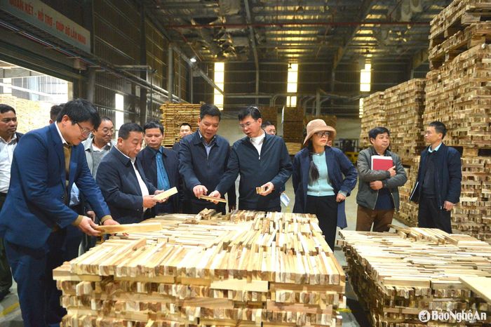 Đoàn công tác thăm nhà máy chế biến gỗ của Công ty cổ phần lâm nghiệp Tháng Năm huyện Nghĩa Đàn. Ảnh: Văn Trường