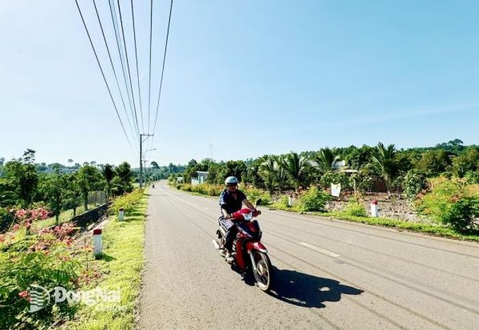 Tuyến đường sáng, xanh, sạch, đẹp tại xã Xuân Tây, huyện Cẩm Mỹ. Ảnh: B.Nguyên