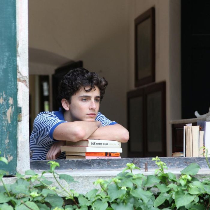 Timothee Chalamet có bước ngoặt sự nghiệp với vai trong “Call Me by Your Name”