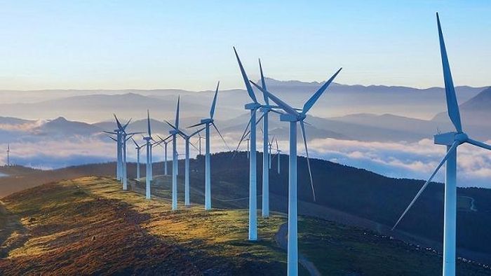 Ảnh minh họa.