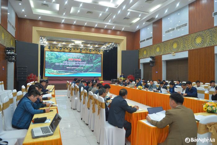 Toàn cảnh Hội nghị triển khai một số nội dung liên quan thuộc lĩnh vực lâm nghiệp năm 2025. Ảnh: Văn Trường