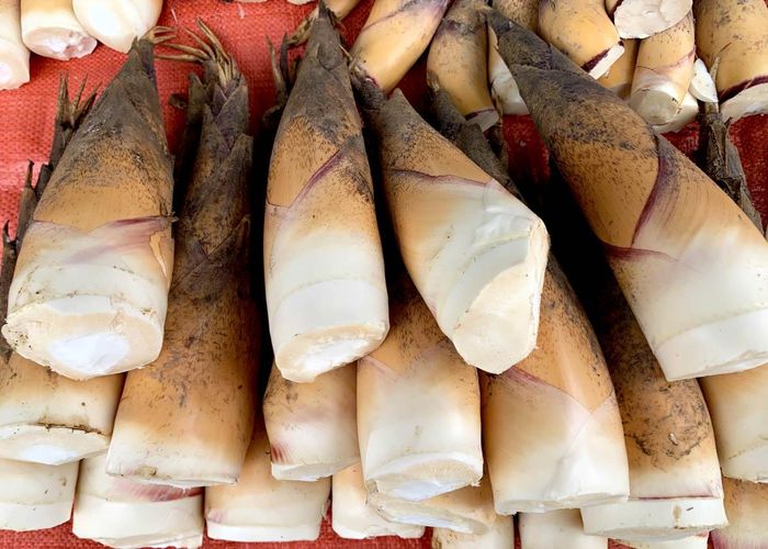 Măng đắng là món ăn yêu thích của nhiều gia đình.