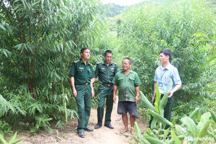 Cán bộ Đồn Biên phòng Tam Hợp trao đổi với người dân bản Phá Lõm, xã Tam Hợp (Tương Dương) và cán bộ địa phương về mô hình trồng đào cảnh. Ảnh: Khánh Ly