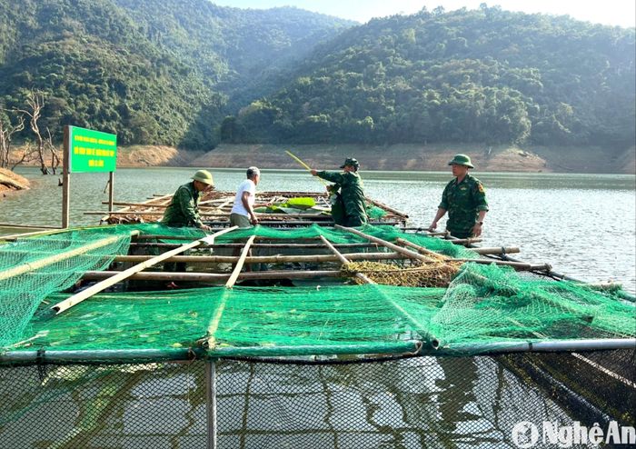 Đồn Biên phòng Nhôn Mai hướng dẫn người dân xây dựng mô hình sinh kế nuôi cá lồng trên sông. Ảnh: KL