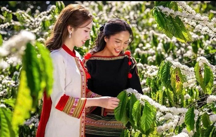 Buôn Ma Thuột được mệnh danh là “Thủ phủ Cà phê của Việt Nam”