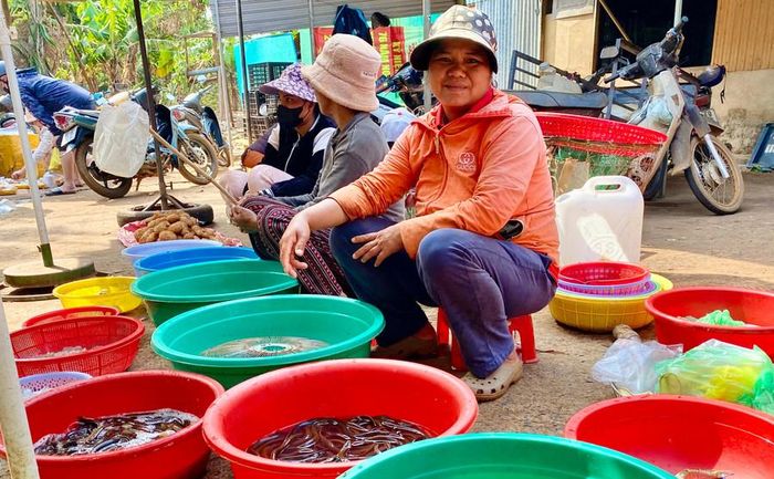  Chợ đồng chuyên bán các loại cá, cua… đồng mà bà con trong làng tự bắt được. Ảnh: Hà Duy 