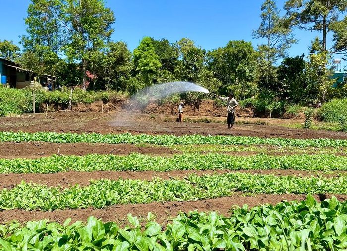  Một ngày như mọi ngày của người dân làng Ia Lang. Ảnh: Hà Duy 