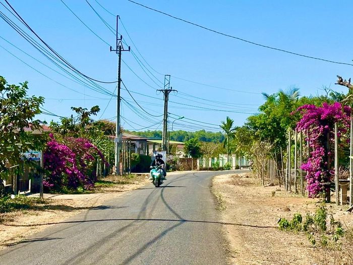  Vùng ngoại ô thành phố Pleiku đang ngày càng trù phú và thay da, đổi thịt từng ngày. Ảnh: Hà Duy 