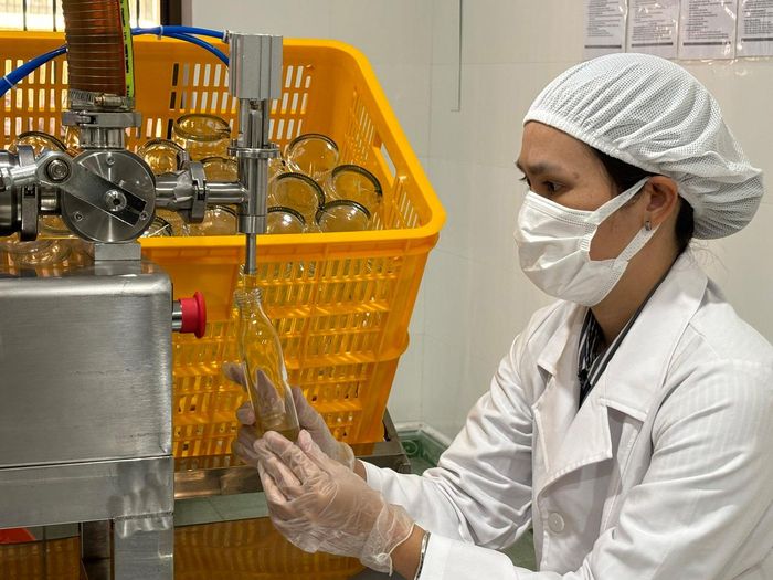 Đóng chai mật ong trong phòng sạch của Công ty Uniharvest