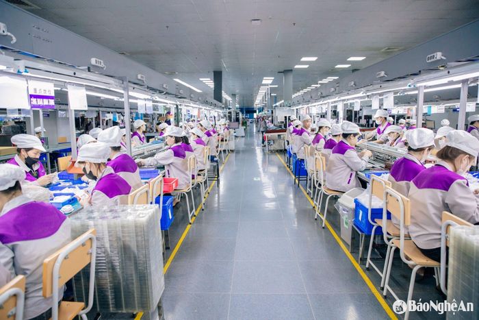Theo thống kê mới nhất của Liên đoàn Lao động tỉnh, Nghệ An hiện có khoảng hơn 80.000 lao động nữ và con số này sẽ tăng nhanh trong thời gian tới, khi nhu cầu tuyển dụng của các doanh nghiệp ngày càng nhiều. Ảnh: Quốc Việt