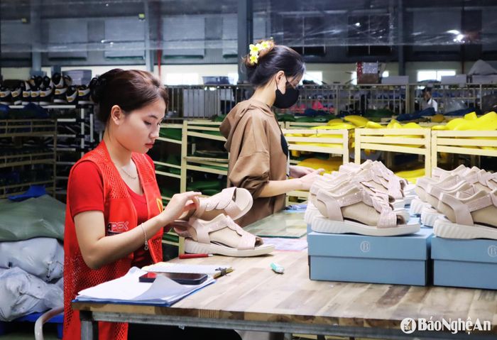 Nữ công nhân Công ty TNHH Giày Apex Nghệ An ở khâu kiểm tra sản phẩm. Ảnh: Diệp Thanh