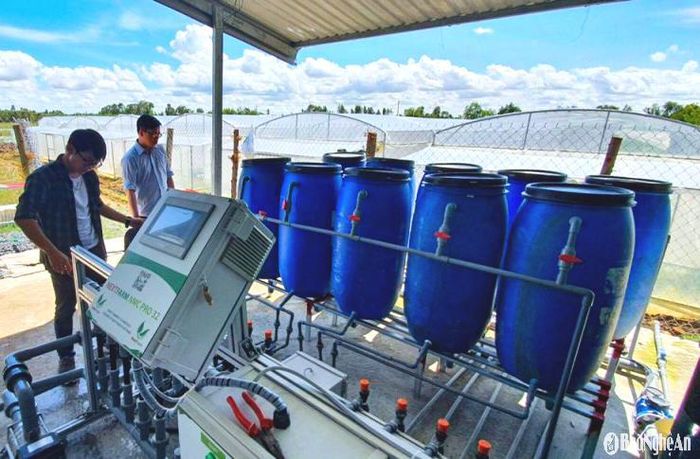 Một trang trại lợn ở Nghĩa Đàn lắp đặt dây chuyền cho ăn tự động để giảm nhân công. Ảnh: T.P