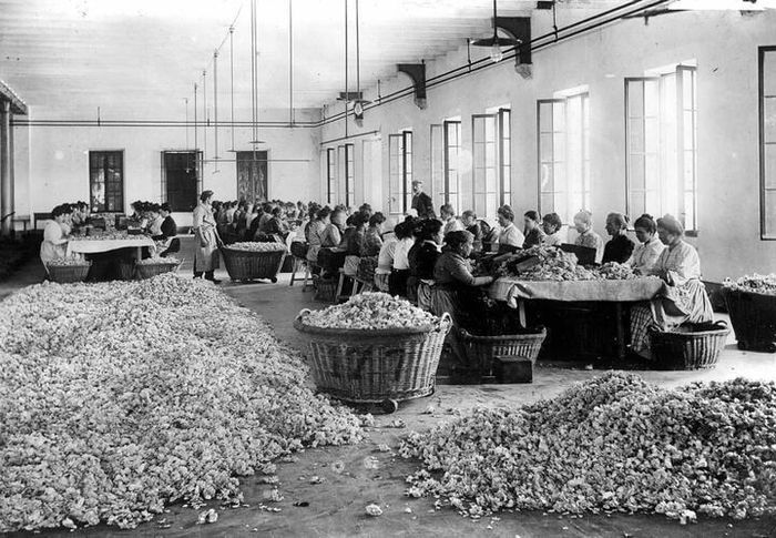 Được thành lập vào năm 1747, Galimard là một trong những xưởng nước hoa lâu đời nhất và nổi tiếng nhất tại Grasse. (Ảnh: Europeana)