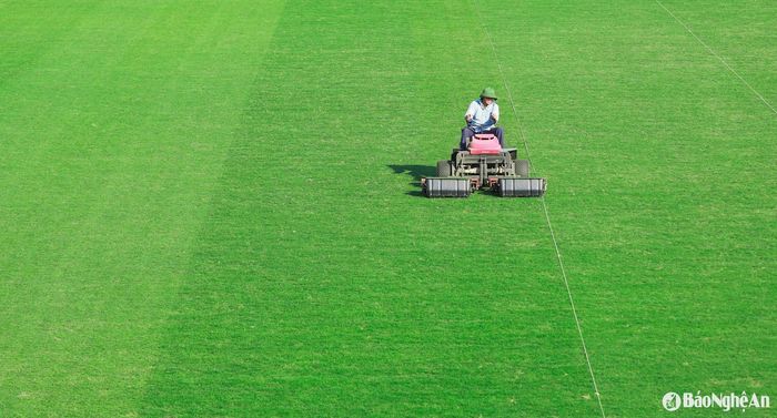 Mặt sân tốt sẽ giúp cho các trận đấu tại V.League có chất lượng chuyên môn cao hơn, thu hút khán giả hơn. Ảnh: Chung Lê