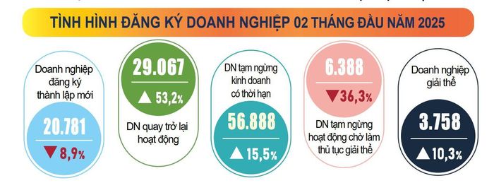 Tình hình đăng ký doanh nghiệp 2 tháng đầu năm 2025. Nguồn: Cục Thống kê