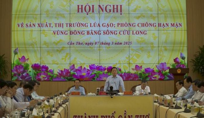 Phó Thủ tướng Trần Hồng Hà chủ trì Hội nghị về sản xuất, thị trường lúa gạo và phòng chống hạn mặn vùng ĐBSCL.
