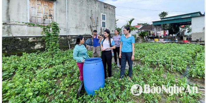 Cán bộ Hội Phụ nữ huyện Quỳnh Lưu kiểm tra việc triển khai mô hình phân loại và xử lý rác tại nguồn ở cơ sở. Ảnh: Mai Hoa
