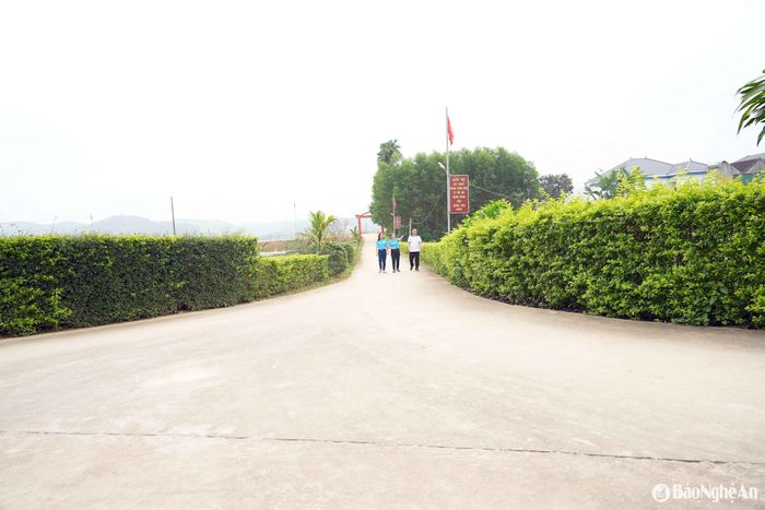 Tuyến đường hoa chuỗi ngọc do chị em phụ nữ xóm 3 triển khai luôn sạch đẹp và là điểm nhấn trong phong trào xây dựng nông thôn mới của địa phương. Ảnh: Thanh Quỳnh