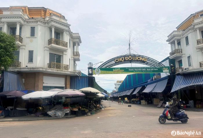 Khu thương mại dịch vụ kết hợp chợ truyền thống Đô Lương được đầu tư xây dựng khang trang. Ảnh: T.H