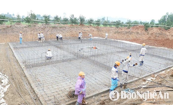 Thi công đào đúc móng Dự án đường dây 220kV Đô Lương – Nam Cấm. Ảnh: T.H