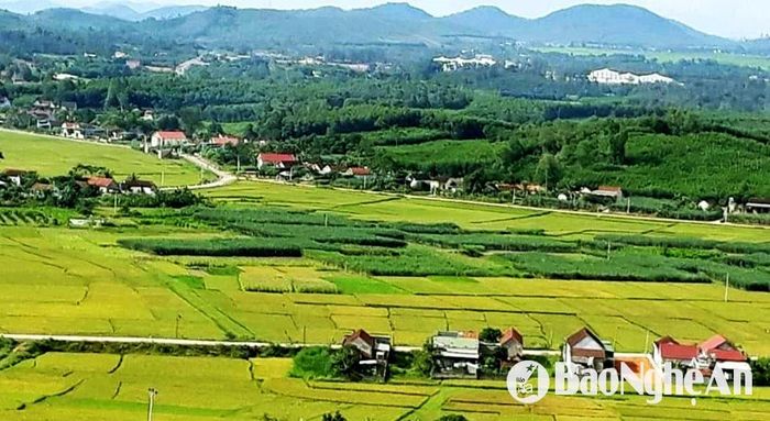 Một góc xã Nghĩa Lộc, huyện Nghĩa Đàn. Ảnh: Nguyên Nguyên